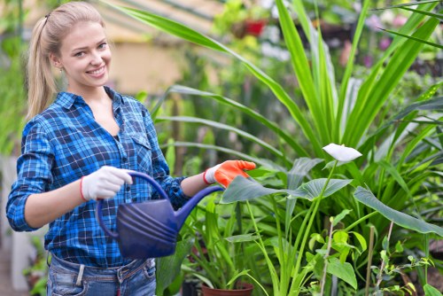 Seasonal garden care in Bermondsey
