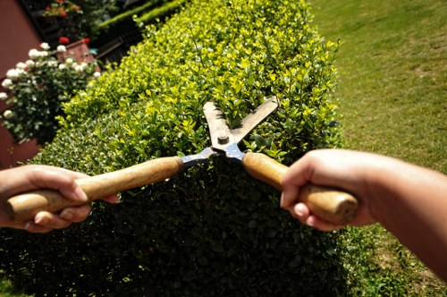 Professional landscaper working in Bermondsey garden