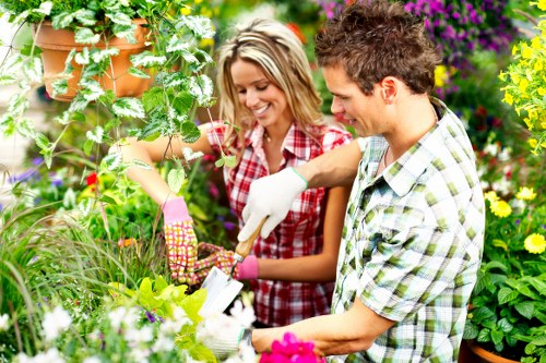 Choosing a garden maintenance service in Bermondsey