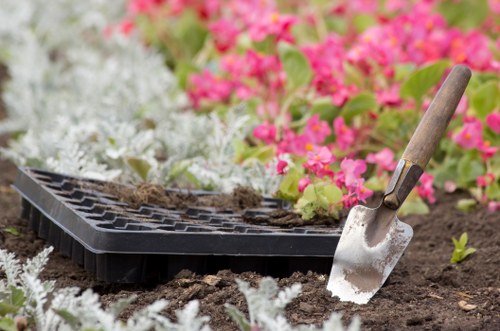 Professional gardener maintaining a Bermondsey garden