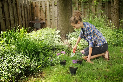 Experienced lawn mower maintaining a Bermondsey garden