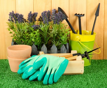 Choosing tree service professionals
