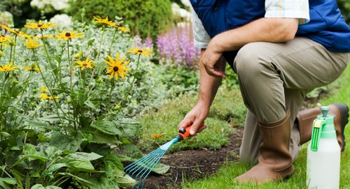 A gardener kneeling on a well-maintained lawn in a residential garden, shown from the waist down, with one hand resting on the knee and the other holding a small hand rake. The garden features a vibrant flower bed with yellow, purple, and pink flowers, bordered by lush green foliage and a neatly trimmed hedge in the background. The lawn has dense, healthy grass with a rich green hue, and the flower bed is lined with dark soil. To the right, a green garden sprayer is placed on the grass, and the gardener is dressed in beige trousers, a blue shirt, and brown rubber boots, suggesting a professional gardening or landscaping service in Bermondsey. The scene is outdoors under natural daylight, indicating fair weather, and the composition highlights land care and garden maintenance elements common in residential outdoor spaces in London neighborhoods like Bermondsey, supporting local gardening services.