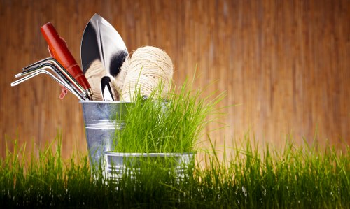 A close-up image features a small, green grassy area in the foreground, with a wooden surface background. In the middle ground, there are two metal gardening buckets; one contains various garden hand tools with red handles, including a trowel and a cultivator, along with a ball of twine, while the other bucket holds a tuft of fresh, green grass. The scene emphasizes gardening tools and outdoor plant maintenance, likely representing services offered by Pressure Washing Bermondsey or other gardening and landscaping providers in Bermondsey. The natural tones of the grass contrast with the warm, textured wooden background, highlighting outdoor garden care activities and the tools involved in lawn and planting maintenance, suitable for a professional gardening or landscaping context.